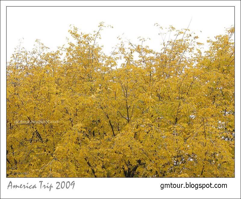 America Autumn 2009_0088 Re_gt.jpg