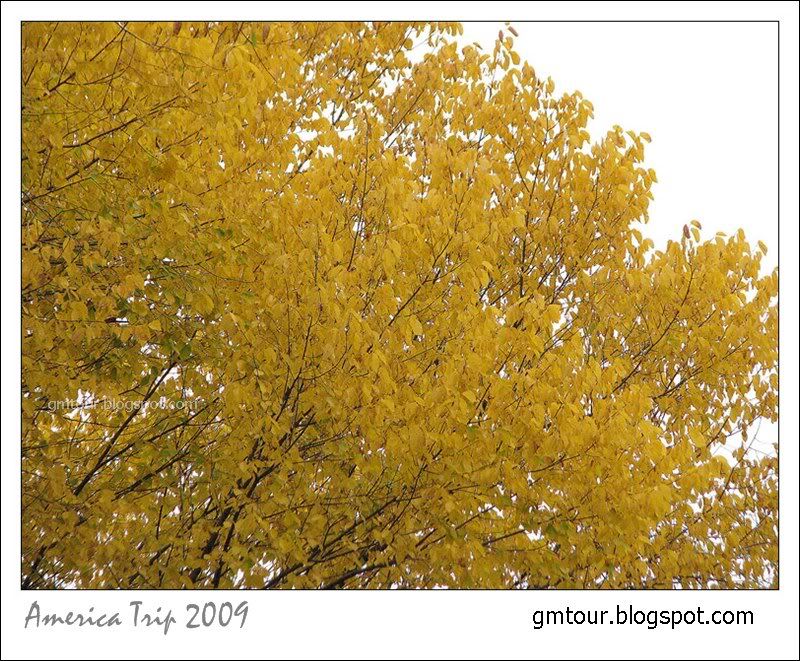 America Autumn 2009_0089 Re_gt.jpg