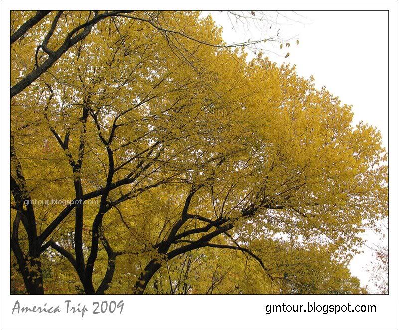 America Autumn 2009_0090 Re_gt.jpg