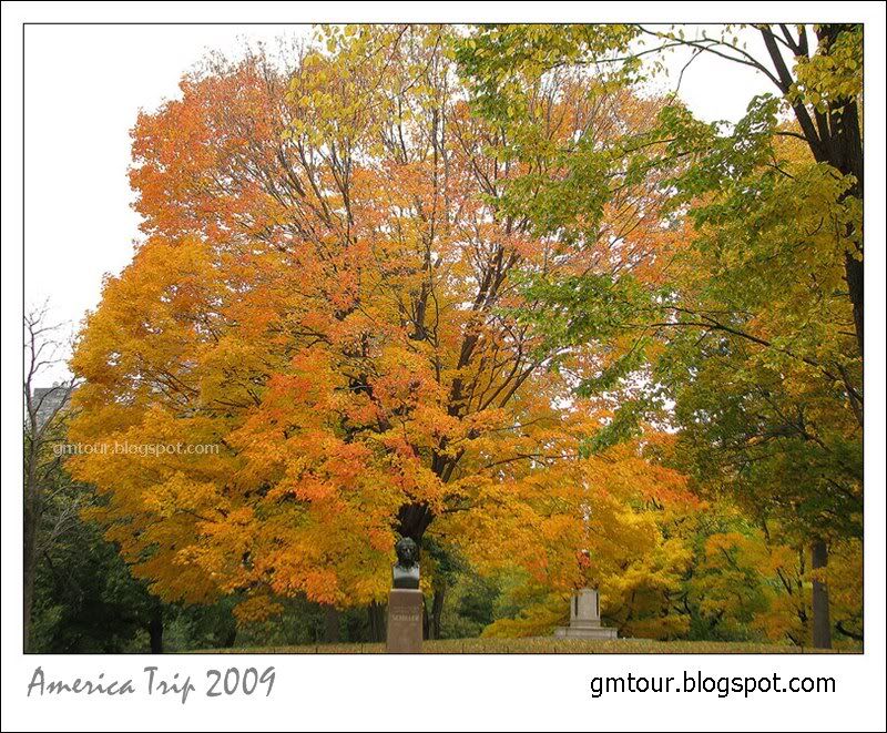 America Autumn 2009_0091 Re_gt.jpg