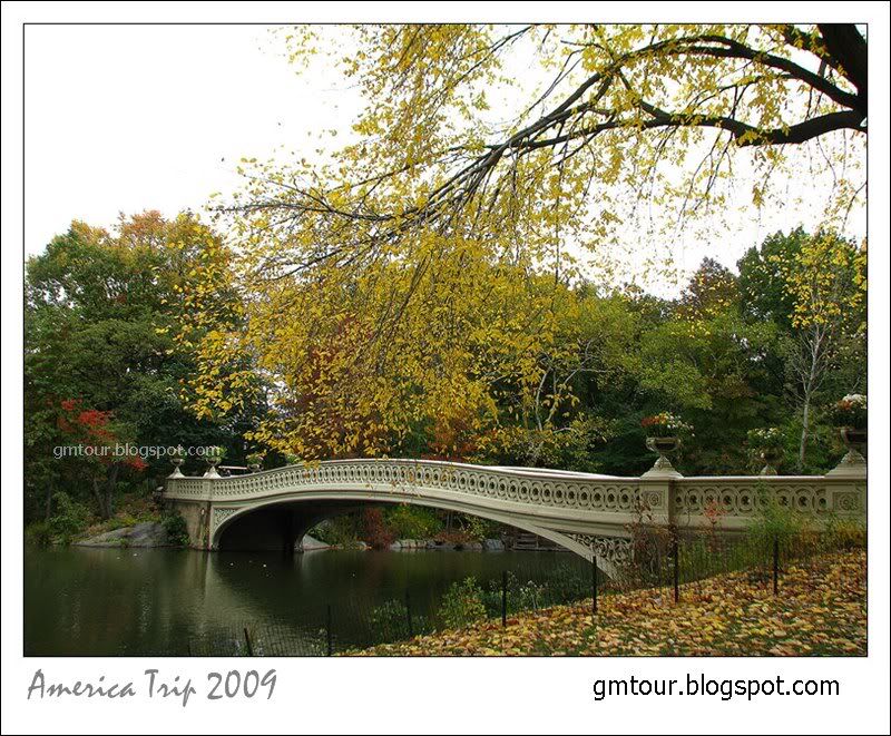 America Autumn 2009_0094 Re_gt.jpg