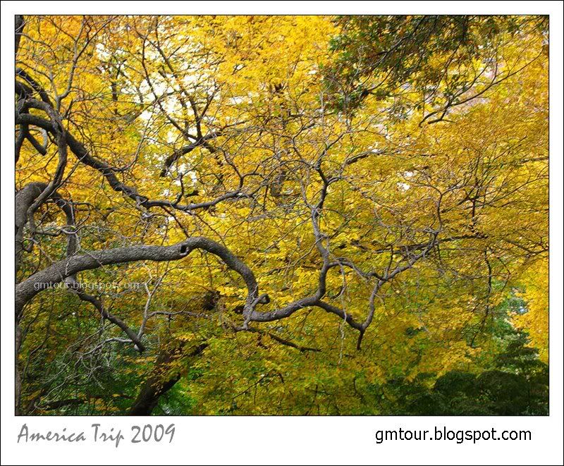 America Autumn 2009_0098 Re_gt.jpg