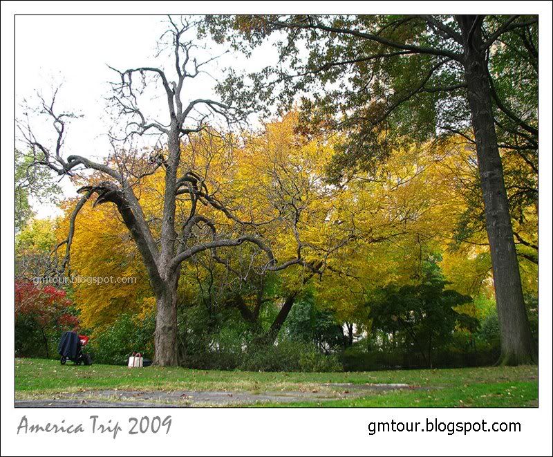 America Autumn 2009_0099 Re_gt.jpg