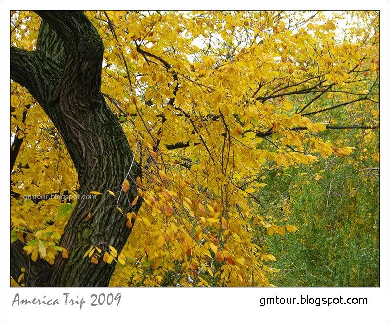 America Autumn 2009_0100 Re_gt.jpg