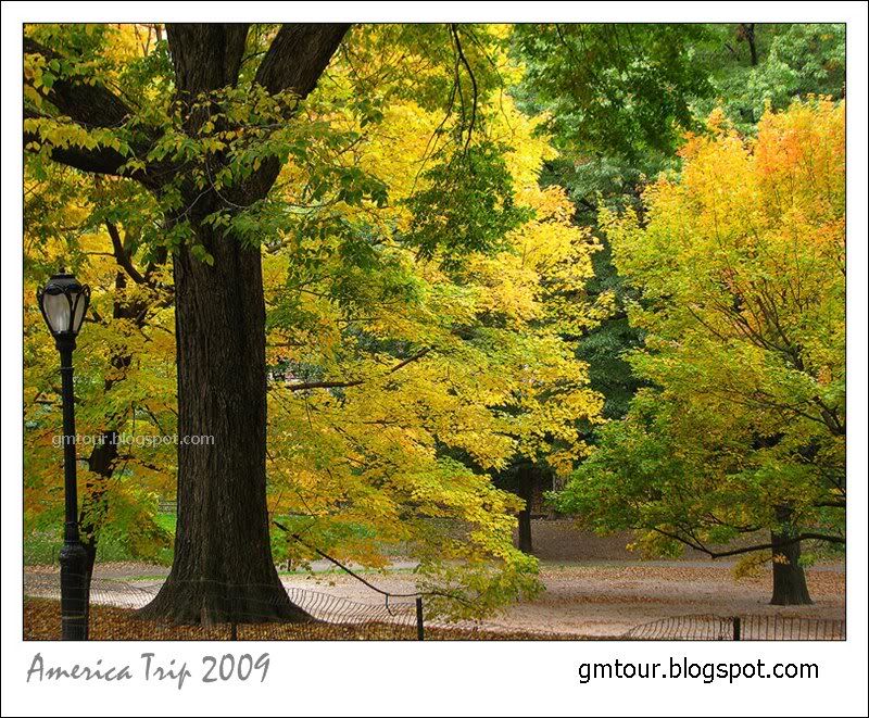 America Autumn 2009_0102 Re_gt.jpg