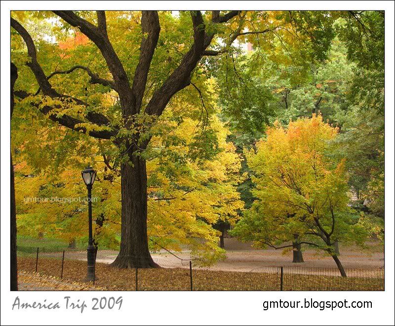 America Autumn 2009_0103 Re_gt.jpg