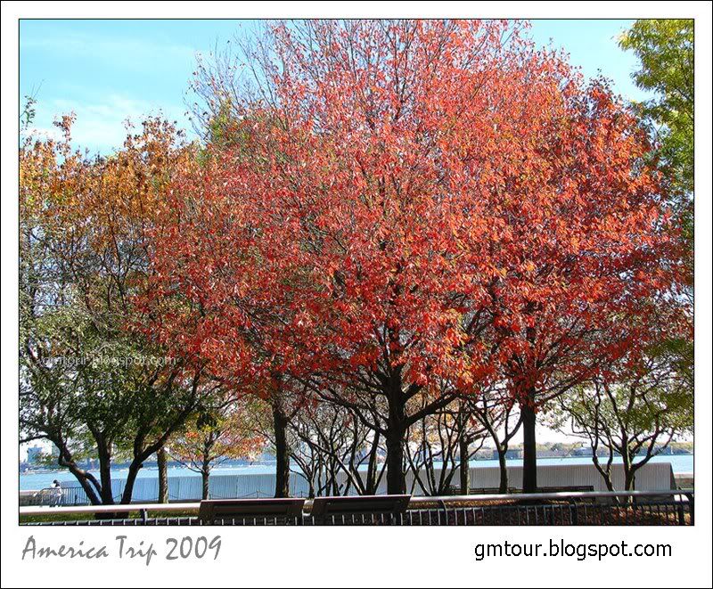 America Autumn 2009_0107 Re_gt.jpg