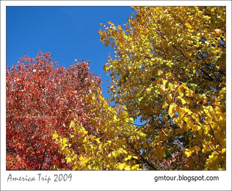 America Autumn 2009_0111 Re_gt.jpg