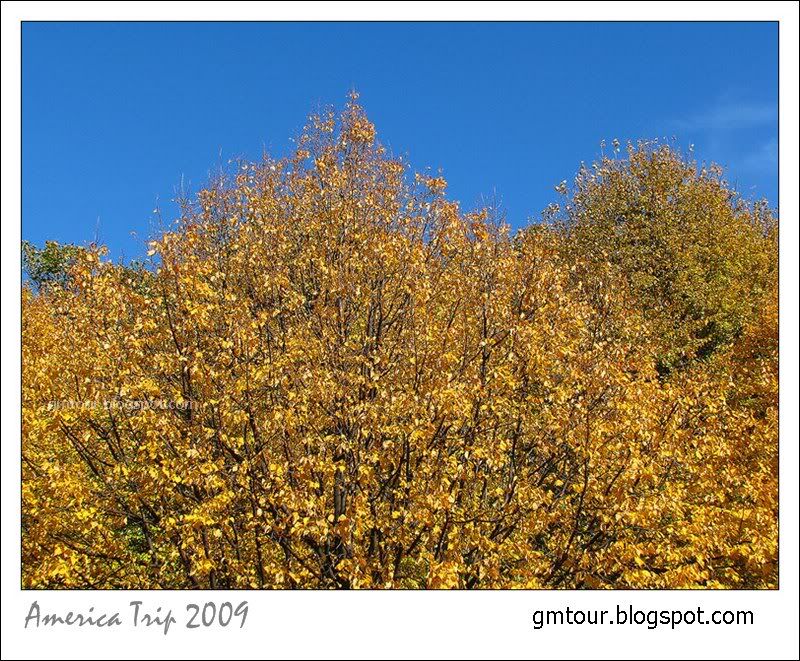 America Autumn 2009_0115 Re_gt.jpg