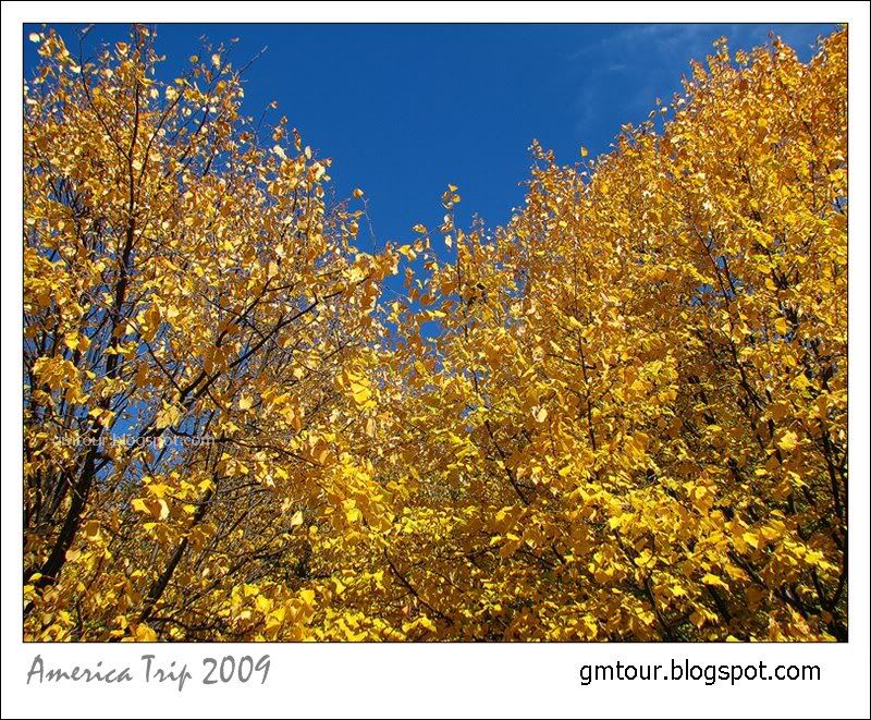 America Autumn 2009_0120 Re_gt.jpg