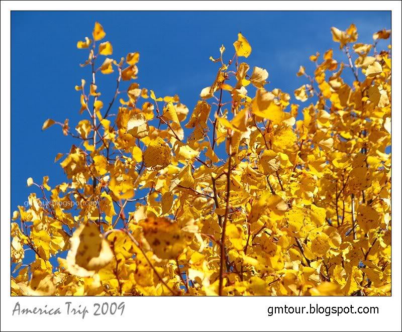 America Autumn 2009_0121 Re_gt.jpg