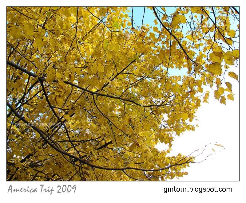 America Autumn 2009_0124 Re_gt.jpg