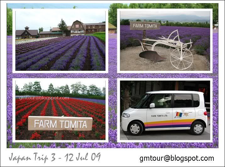 17 Furano Tomita Farm_gt.jpg