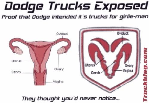 dodge uterus