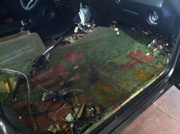 10520888_10101210086773498_9135772271092