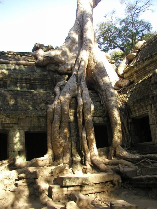 TaProhm11.jpg picture by minah2710
