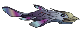 NLsea28a.gif
