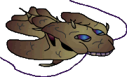 sea29b.gif