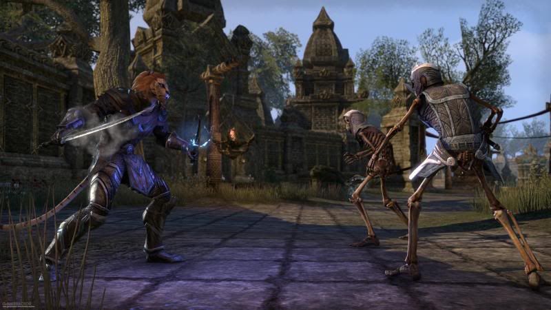 Khajiit_fighting_skeletons_ESO_zps997c2f08.jpg