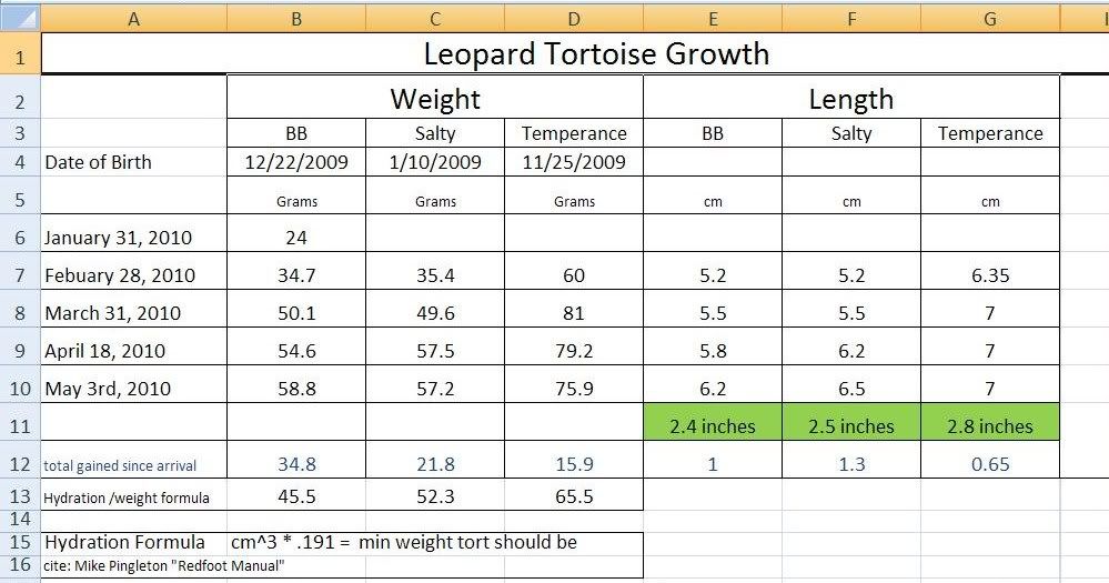 Leopard growth chart!! Pics of babies as well Tortoise Forum