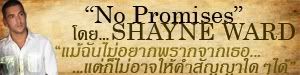 ŧNo Promises  Shayne Ward