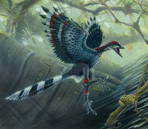 Archaeopteryx lithographica Image