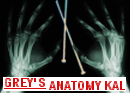 Grey's Anatomy KAL