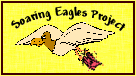 Soaring Eagles Project