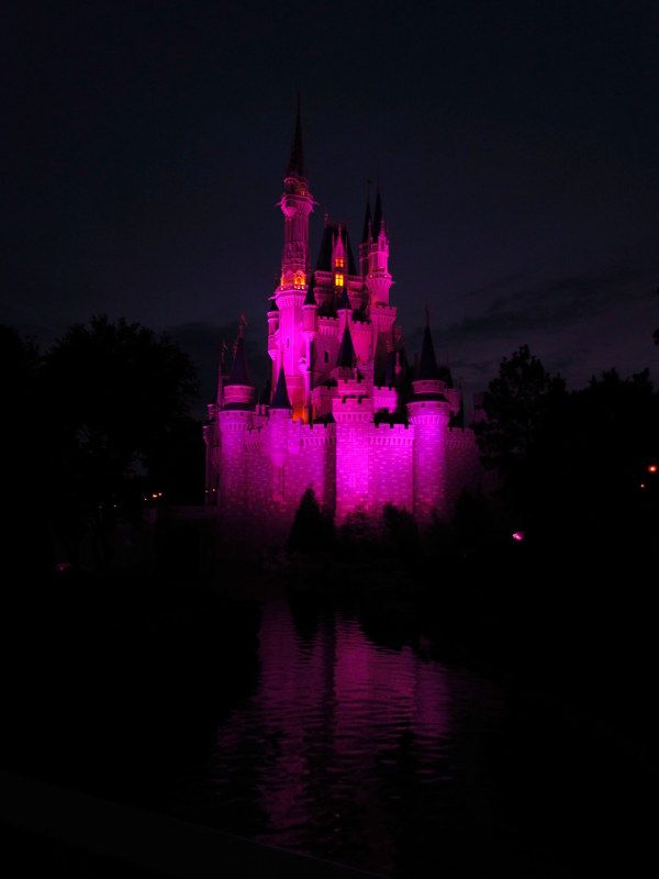 WDW%20MAY-JUNE%202012%201928-001_zpsc884ec25.jpg