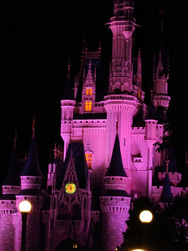 WDW%20MAY-JUNE%202012%202016_zps83c37ae5.jpg