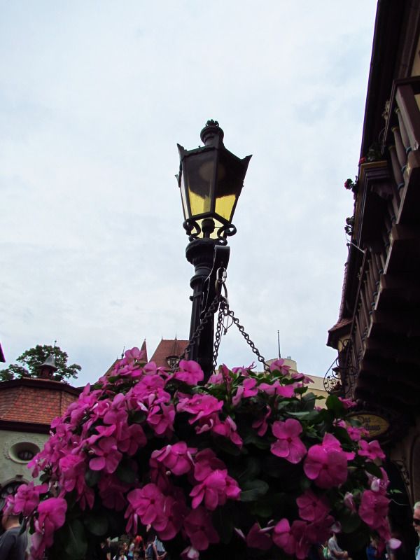 WDWMAY-JUNE20121336.jpg