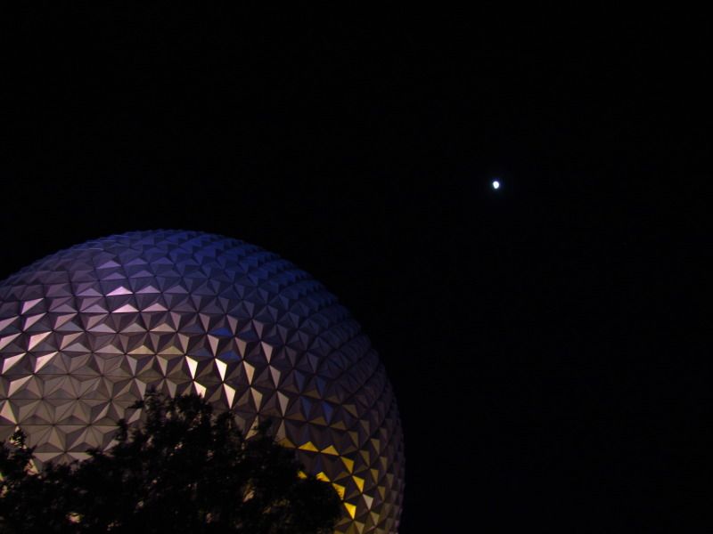 WDWMAY-JUNE20121421.jpg