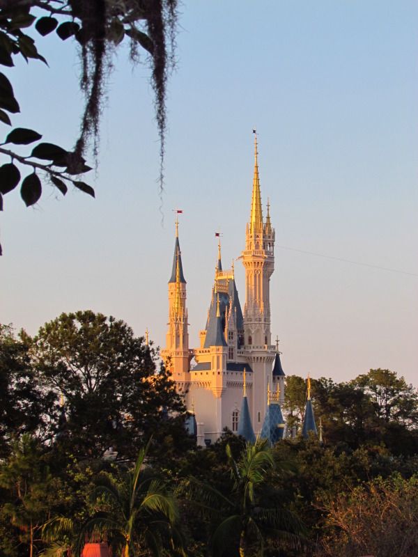 WDWMAY-JUNE2012232-1.jpg