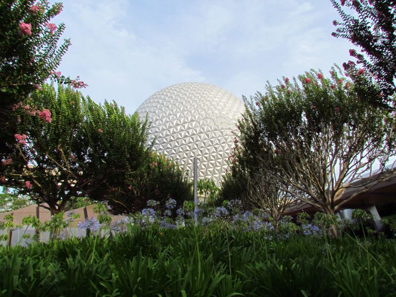 WDWMAY-JUNE2012676.jpg