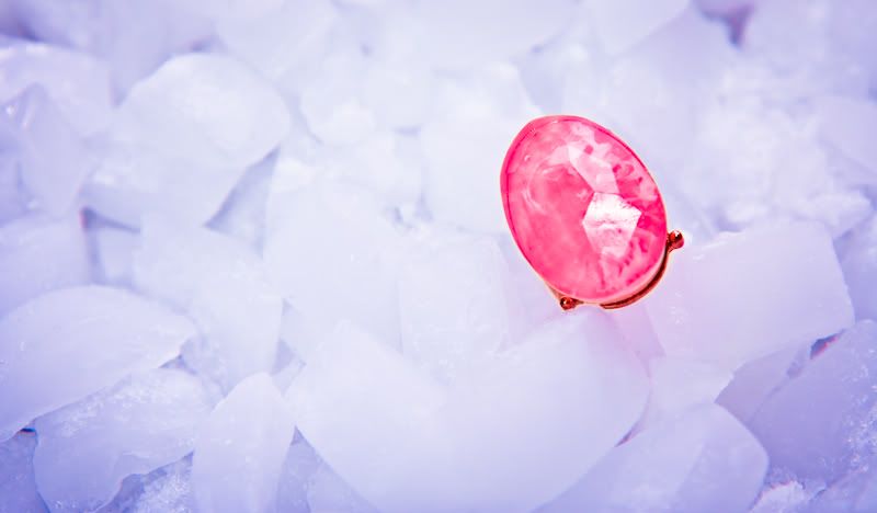 IMAGE: http://i28.photobucket.com/albums/c231/picsforu/20110115-20110115-IMG_9765-2.jpg