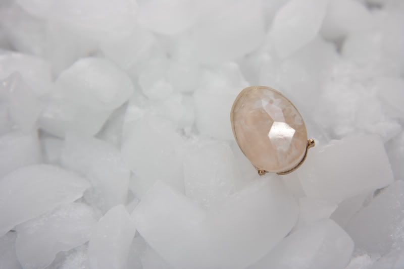 IMAGE: http://i28.photobucket.com/albums/c231/picsforu/20110115-20110115-IMG_9765.jpg