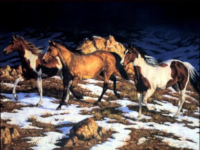 horses wallpaper desktop. Wild Horses Wallpaper Image
