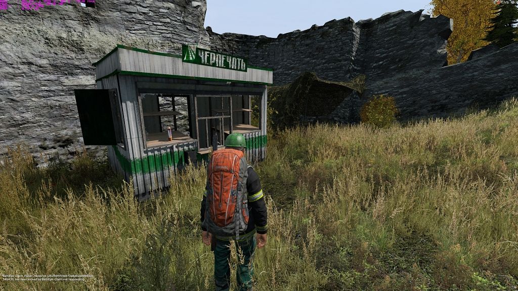 DayZ_2016_06_14_23_31_07_655_zps7fg8iray.jpg