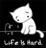 life is hard, white cartoon cat Pictures, Images and Photos