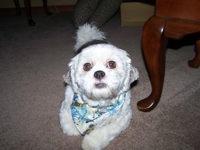 Photobucket - Video and Image Hosting