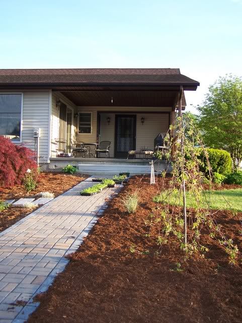 Photo Sharing and Video Hosting at Photobucket