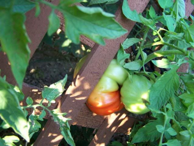 Photo Sharing and Video Hosting at Photobucket