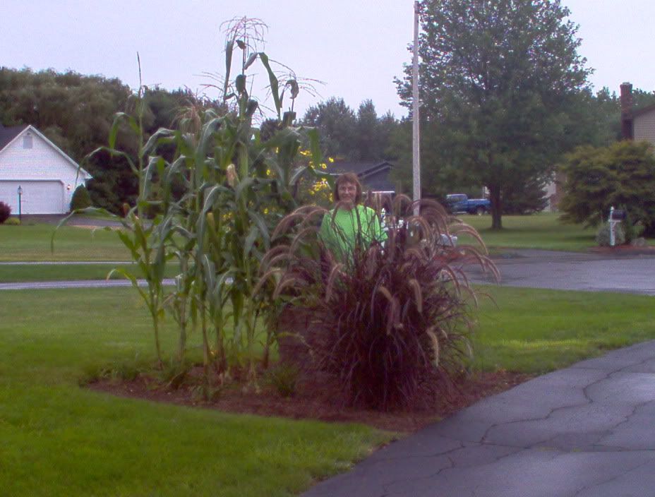 Photobucket - Video and Image Hosting