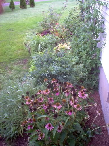 Photobucket - Video and Image Hosting