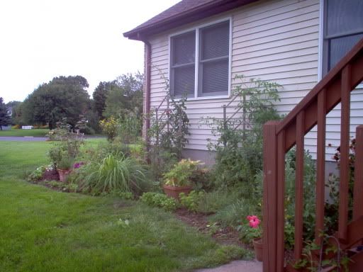 Photobucket - Video and Image Hosting