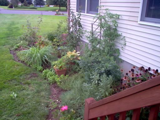 Photobucket - Video and Image Hosting