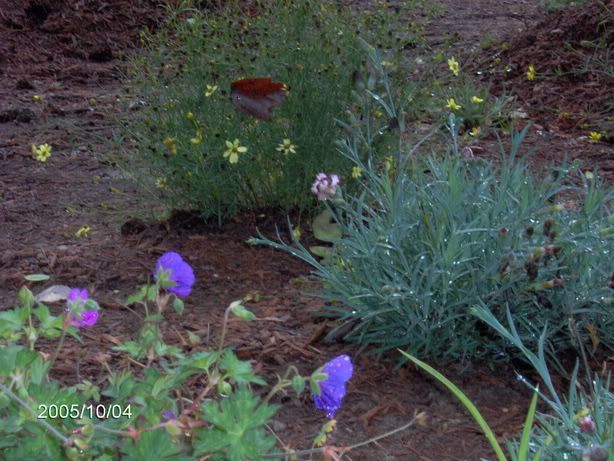 Image hosted by Photobucket.com