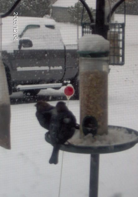 Image hosted by Photobucket.com