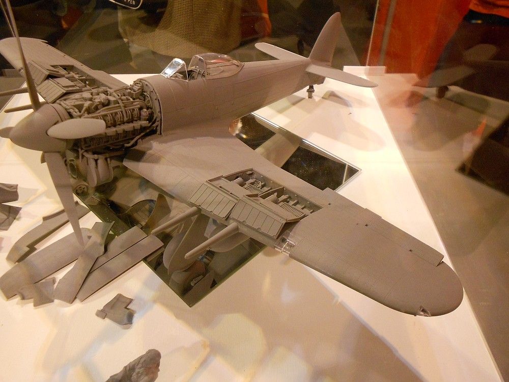 Airfix24thscaleTyphoon7_zps741ec577.jpg