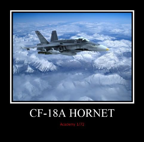 Hornet1.jpg